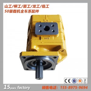 供應徐工裝載機配件 CBGJ3125工作泵 倉庫直銷 一件待發(fā)