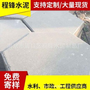 實(shí)心六角護(hù)坡磚 河道生態(tài)護(hù)坡磚耐腐蝕混凝土護(hù)坡磚