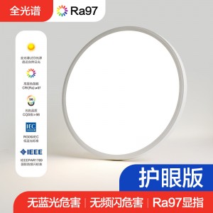 超薄現(xiàn)代簡(jiǎn)約樓道2CM圓形吸頂燈全光譜護(hù)眼臥室書(shū)房客廳led吸頂燈