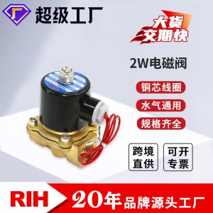 RIH瑞亨 2W電磁閥 二位二通常閉電磁閥 微型小型水閥 氣閥通用氣動